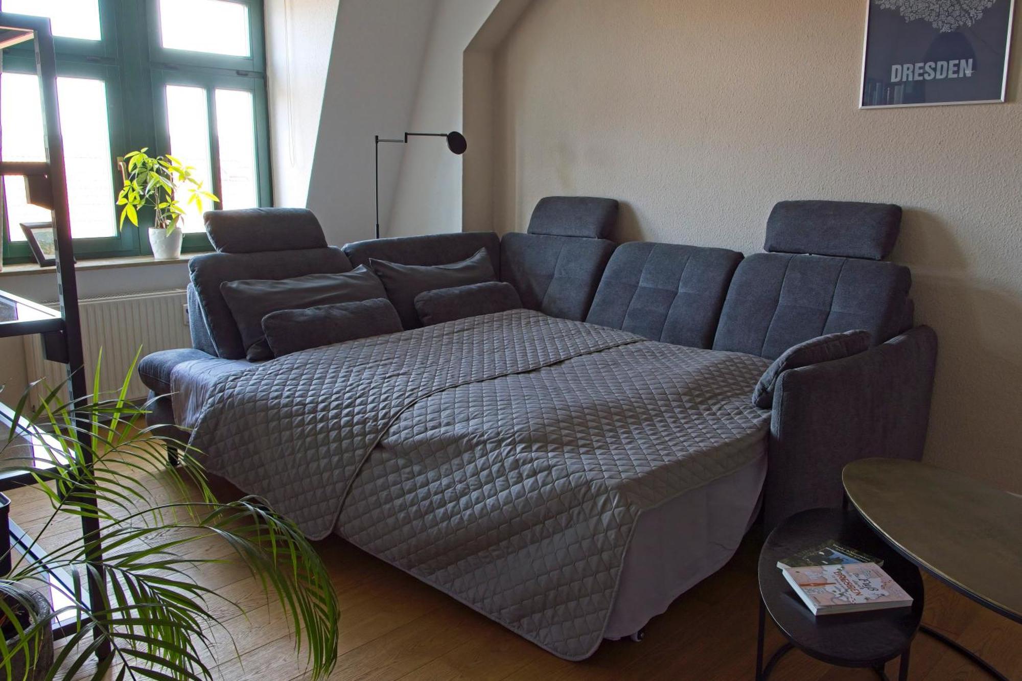 Neustadt-Aussicht - Grosse Wohnung Mit Balkon Dresde Exterior foto